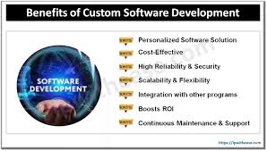 custom software application development
