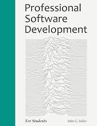professional software development