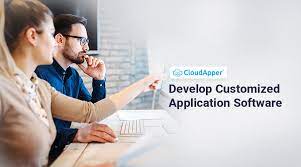 customized application software