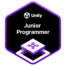 junior programmer