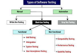 software development testing