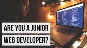 junior software developer