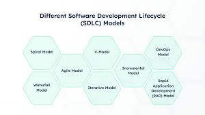 custom software development in agile