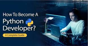 python software developer