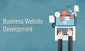 business website development